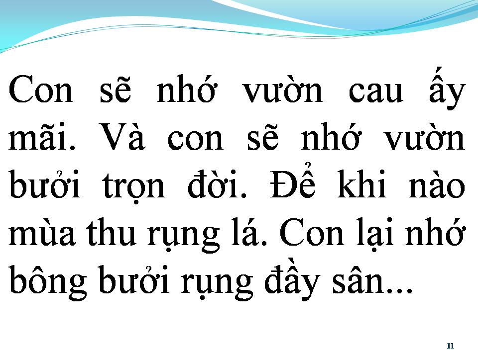 Lời bài hát BÔNG BƯỞI HOA CAU