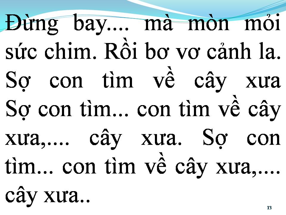 Lời bài hát BÔNG BƯỞI HOA CAU