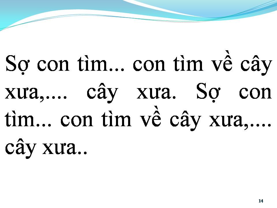 Lời bài hát BÔNG BƯỞI HOA CAU