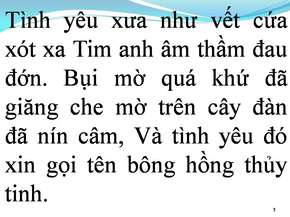 Lời bài hát BÔNG HỒNG THỦY TINH