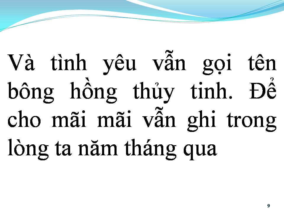 Lời bài hát BÔNG HỒNG THỦY TINH