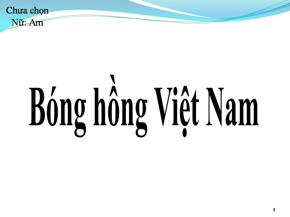 Lời bài hát BÓNG HỒNG VIỆT NAM
