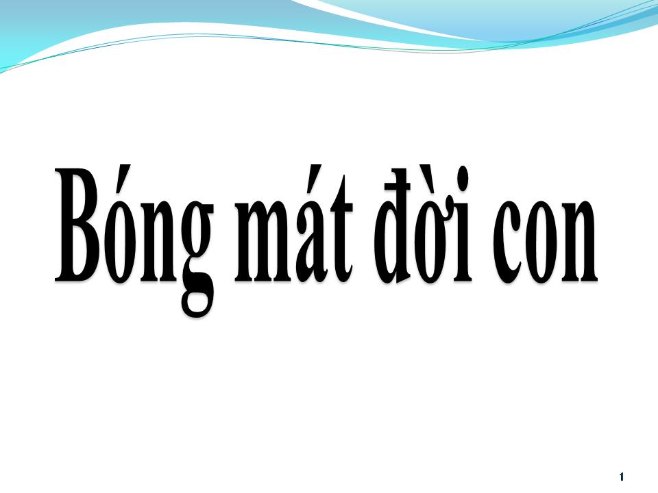 Lời bài hát BÓNG MÁT ĐỜI CON