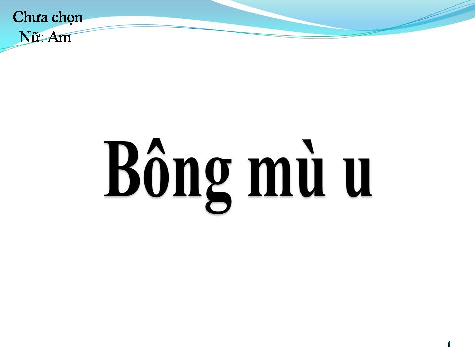 Lời bài hát BÔNG MÙ U