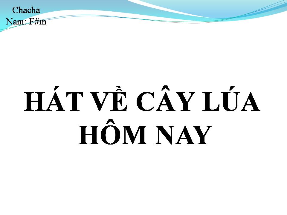 Lời bài hát HÁT VỀ CÂY LÚA HÔM NAY