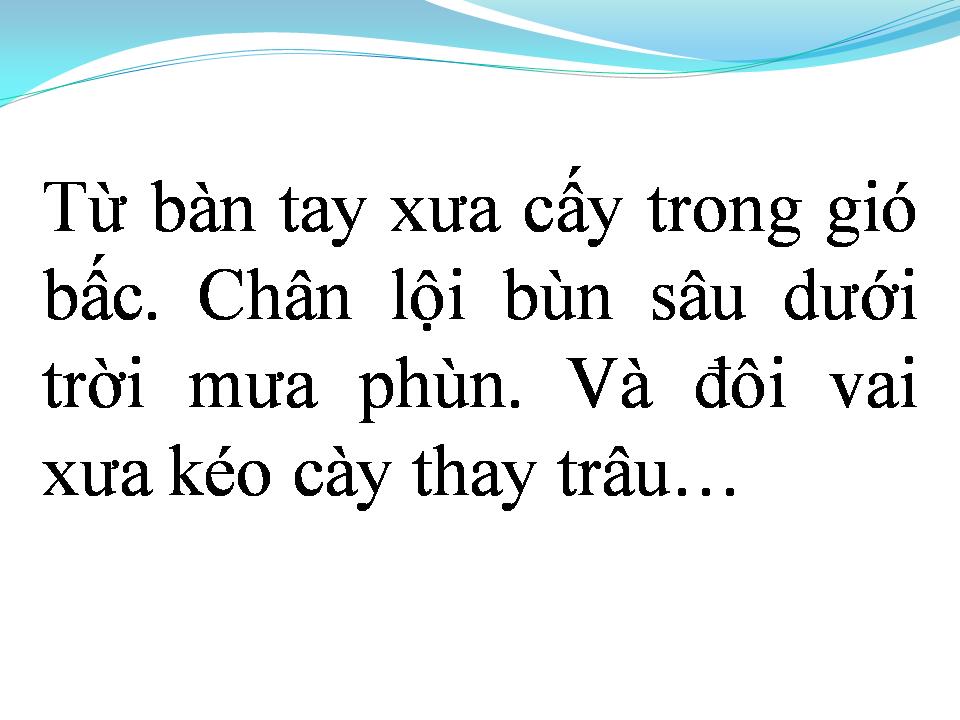 Lời bài hát HÁT VỀ CÂY LÚA HÔM NAY