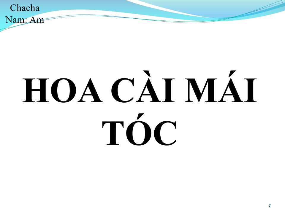 Lời bài hát HOA CÀI MÁI TÓC