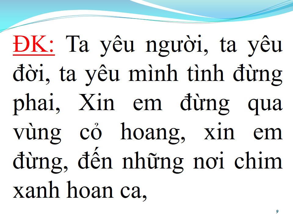Lời bài hát HOA CÀI MÁI TÓC