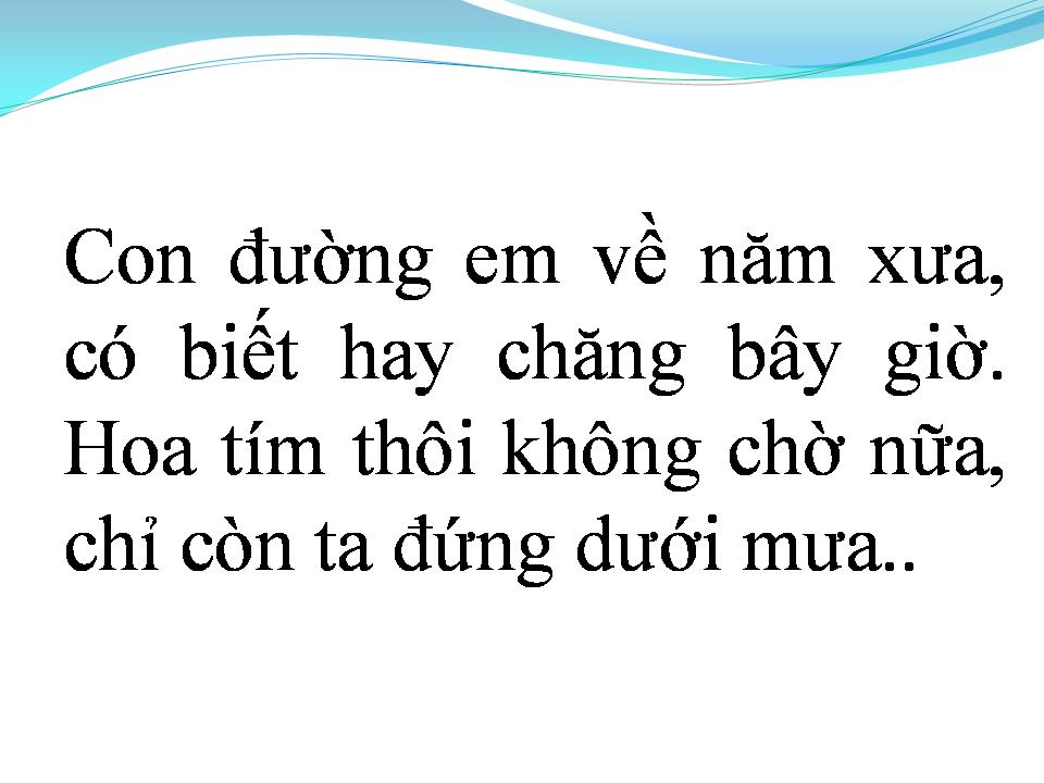 Lời bài hát HOA TÍM NGÀY XƯA