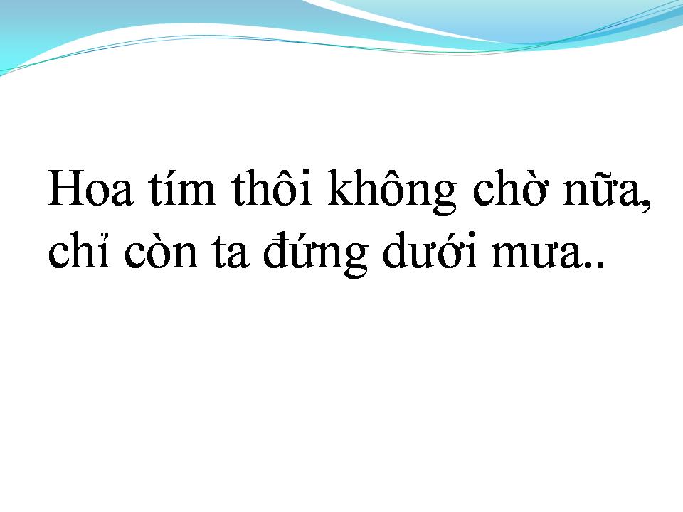 Lời bài hát HOA TÍM NGÀY XƯA