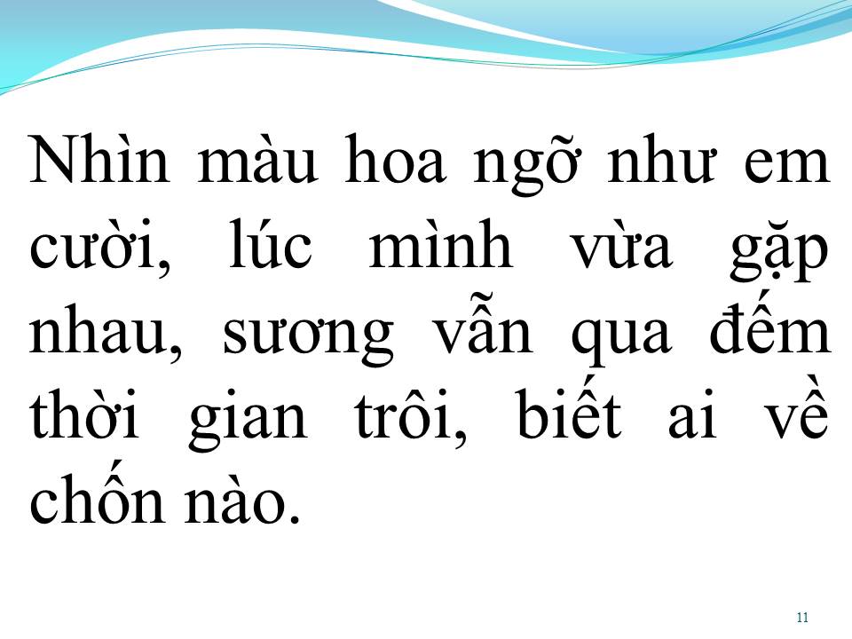 Lời bài hát HOA TÍM NGƯỜI XƯA