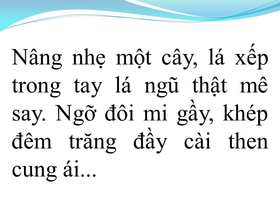 Lời bài hát HOA TRINH NỮ
