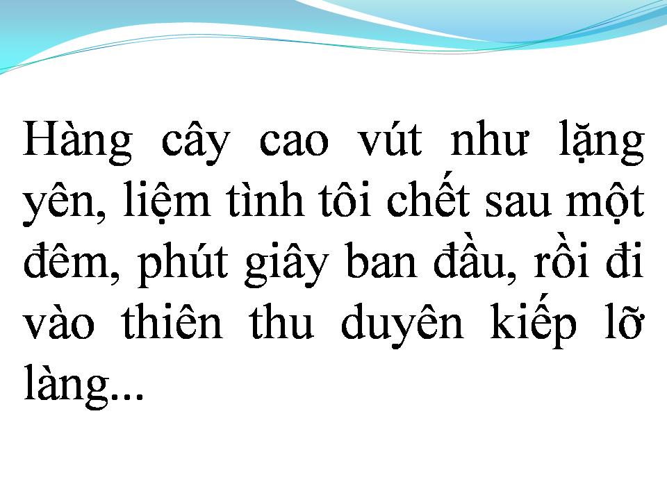 Lời bài hát TÂM SỰ ĐỜI TÔI