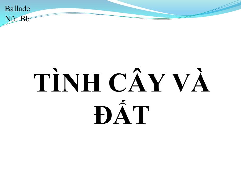Lời bài hát TÌNH CÂY VÀ ĐẤT