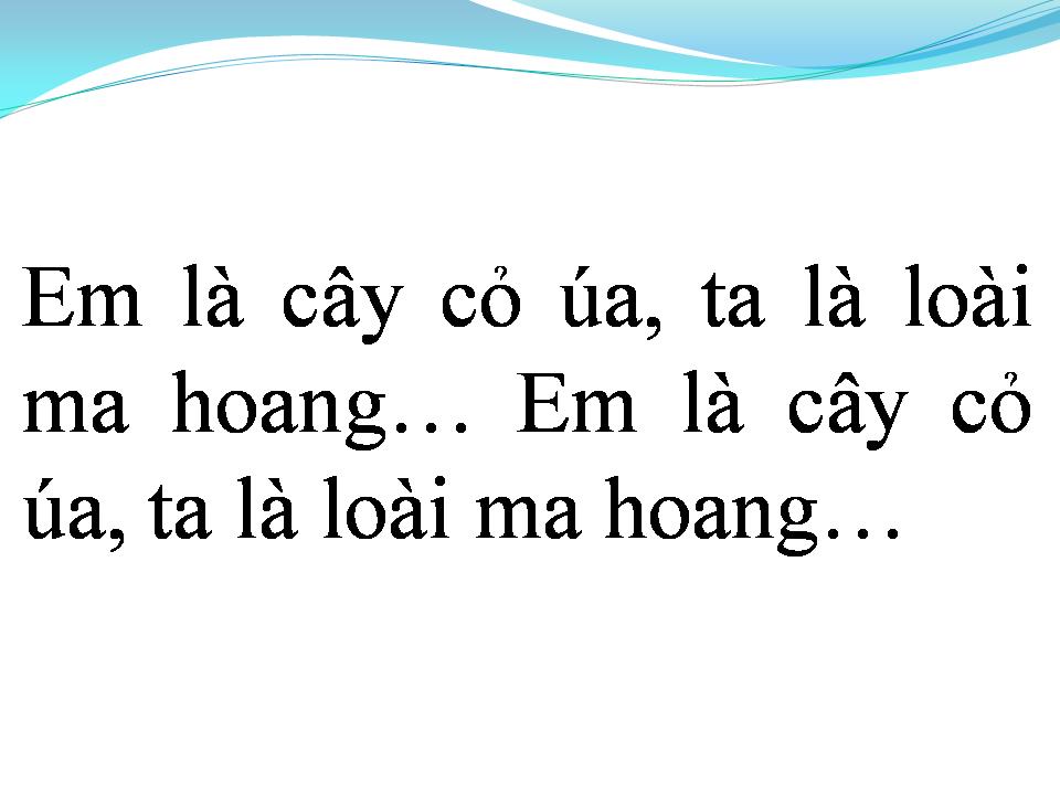 Lời bài hát TA YÊU EM LẦM LỠ