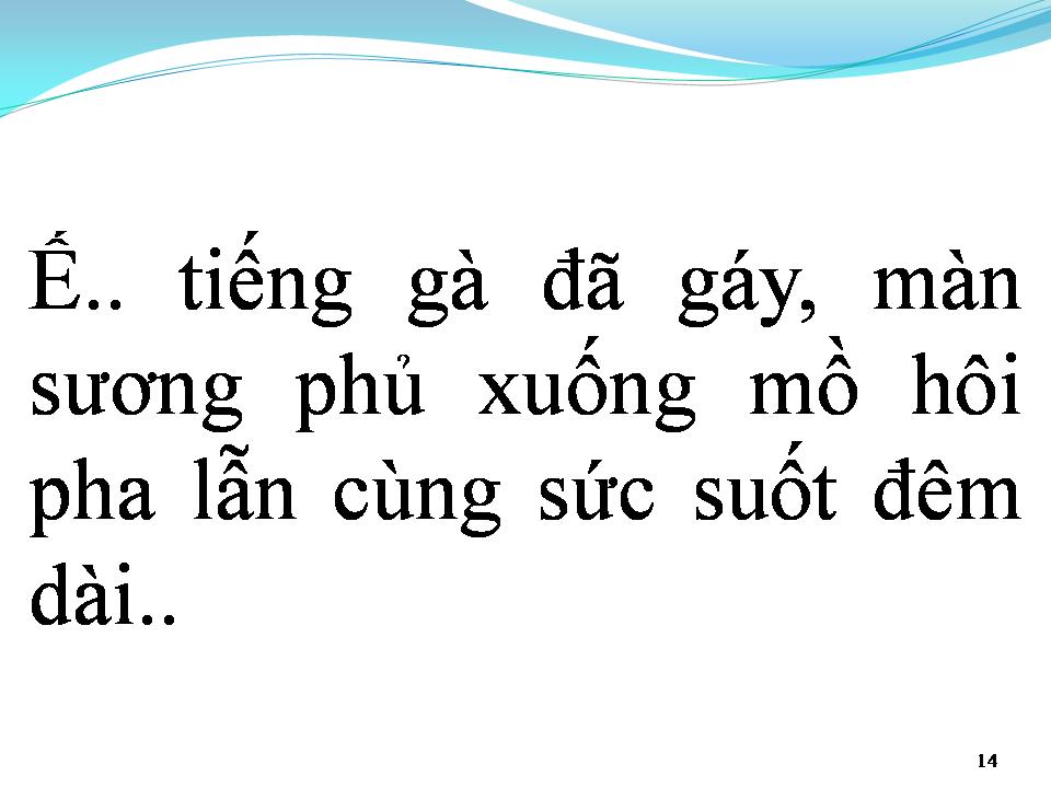 Lời bài hát TIẾNG CHÀY TRÊN SÓC BOM BO