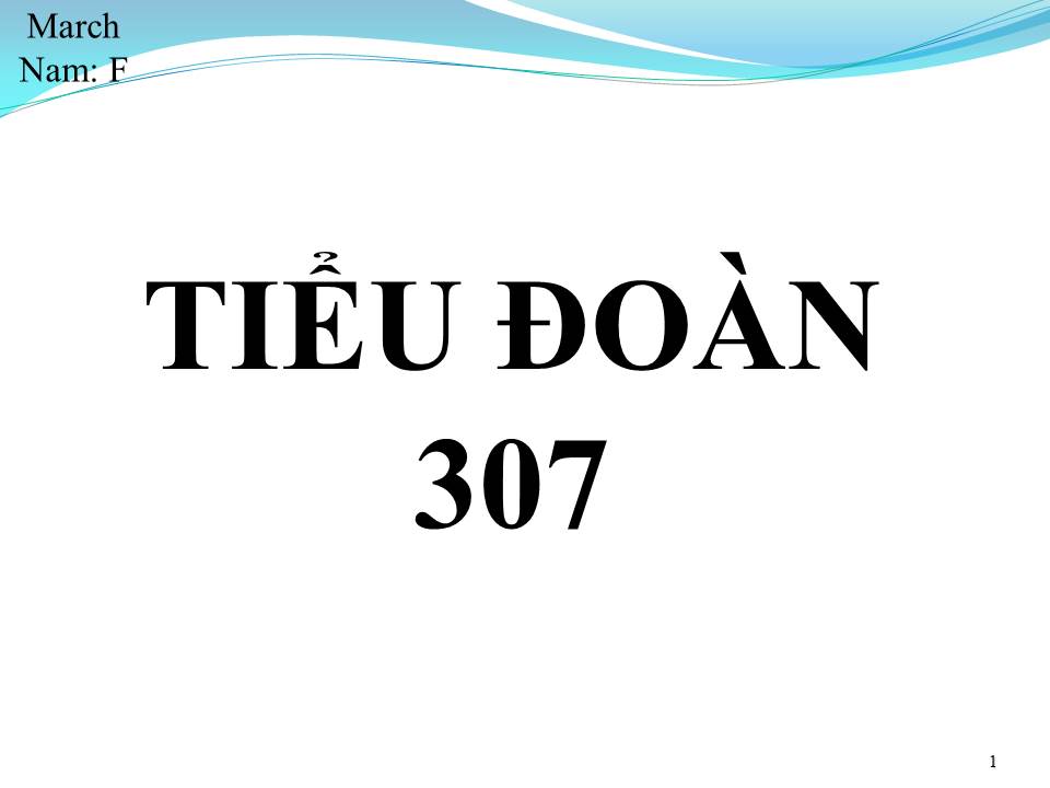 Lời bài hát TIỂU ĐOÀN BA LẺ BẢY (TIỂU ĐOÀN 307)