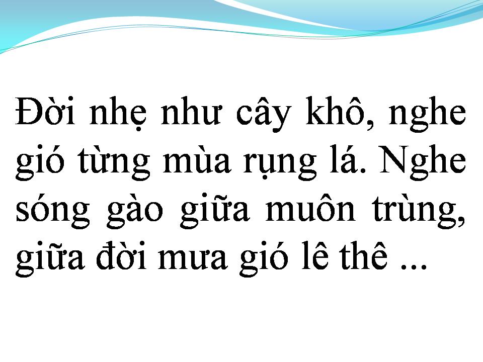 Lời bài hát TÌNH CA NGƯỜI XA XỨ