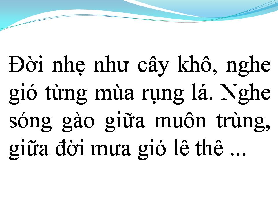 Lời bài hát TÌNH CA NGƯỜI XA XỨ
