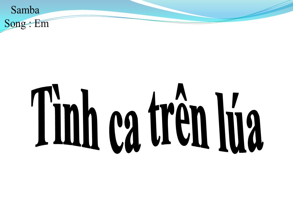 Lời bài hát TÌNH CA TRÊN LÚA