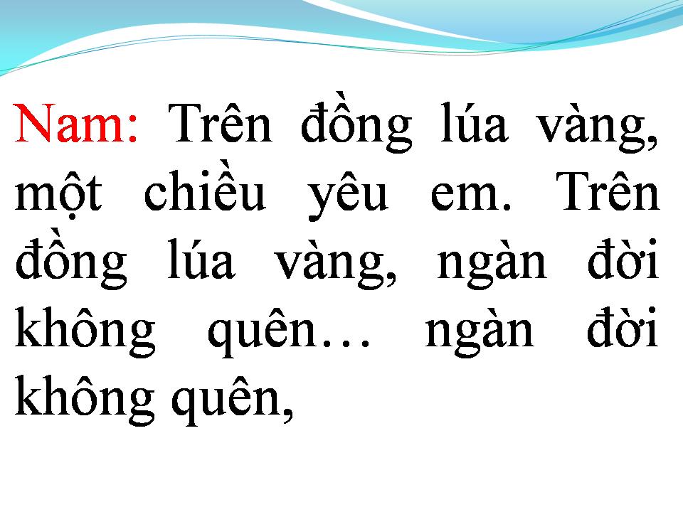 Lời bài hát TÌNH CA TRÊN LÚA
