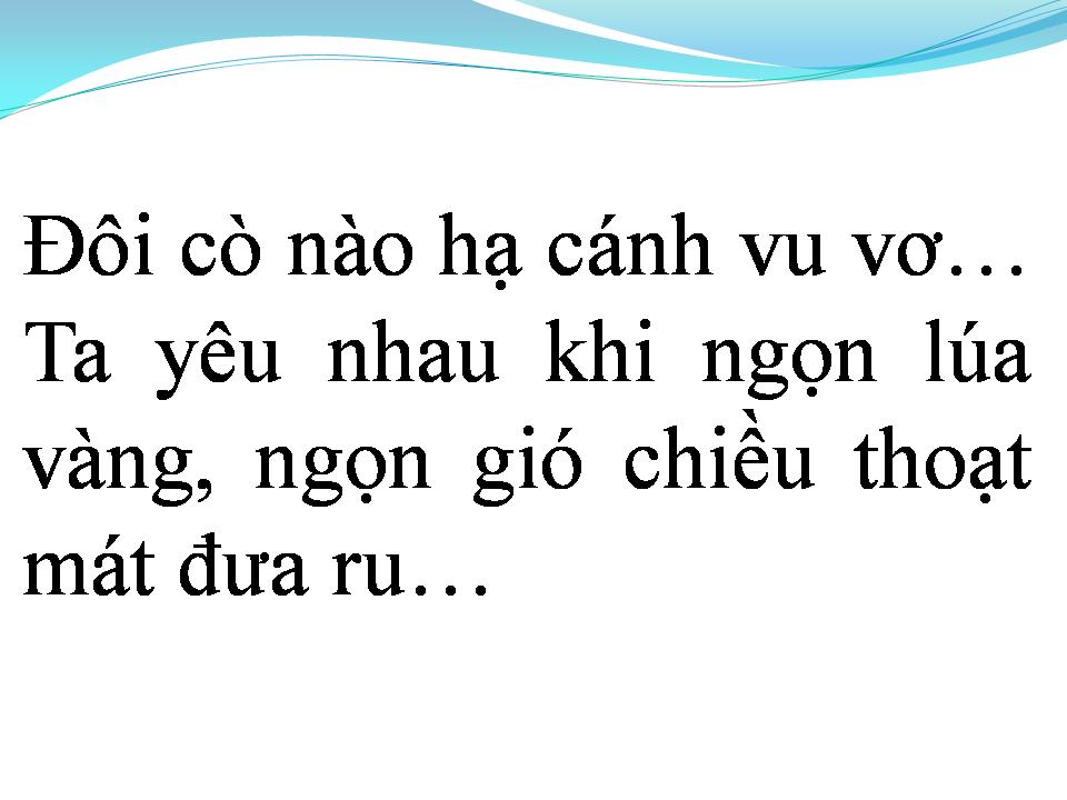Lời bài hát TÌNH CA TRÊN LÚA
