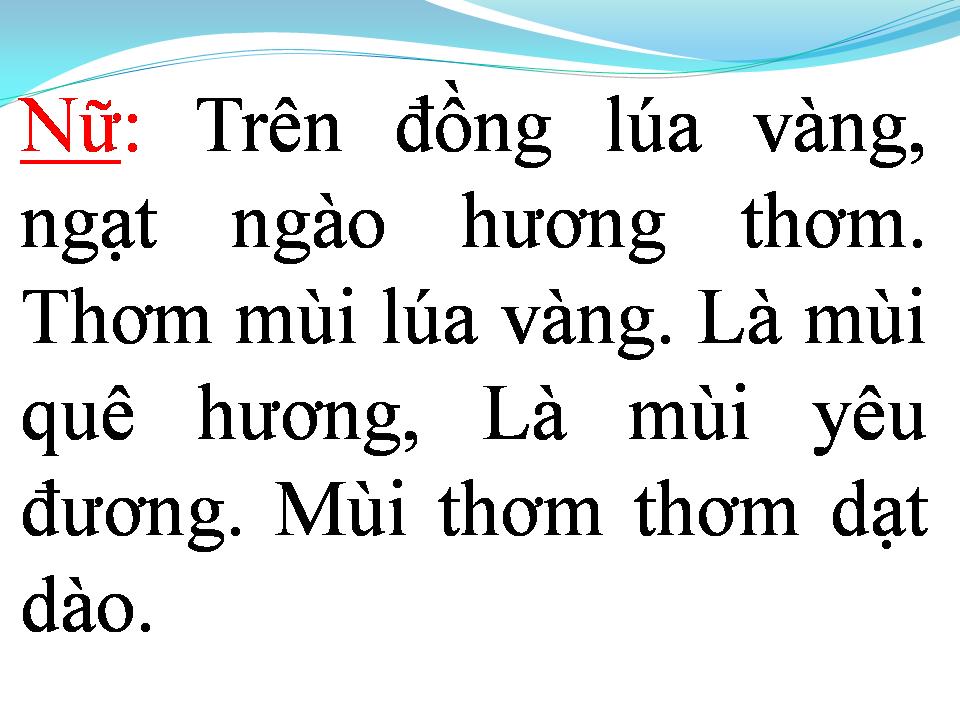Lời bài hát TÌNH CA TRÊN LÚA