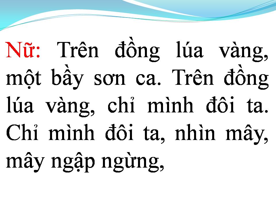 Lời bài hát TÌNH CA TRÊN LÚA