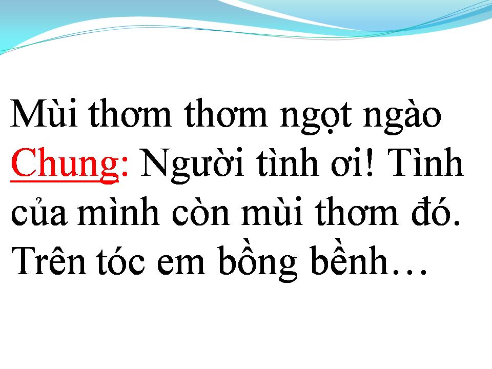 Lời bài hát TÌNH CA TRÊN LÚA