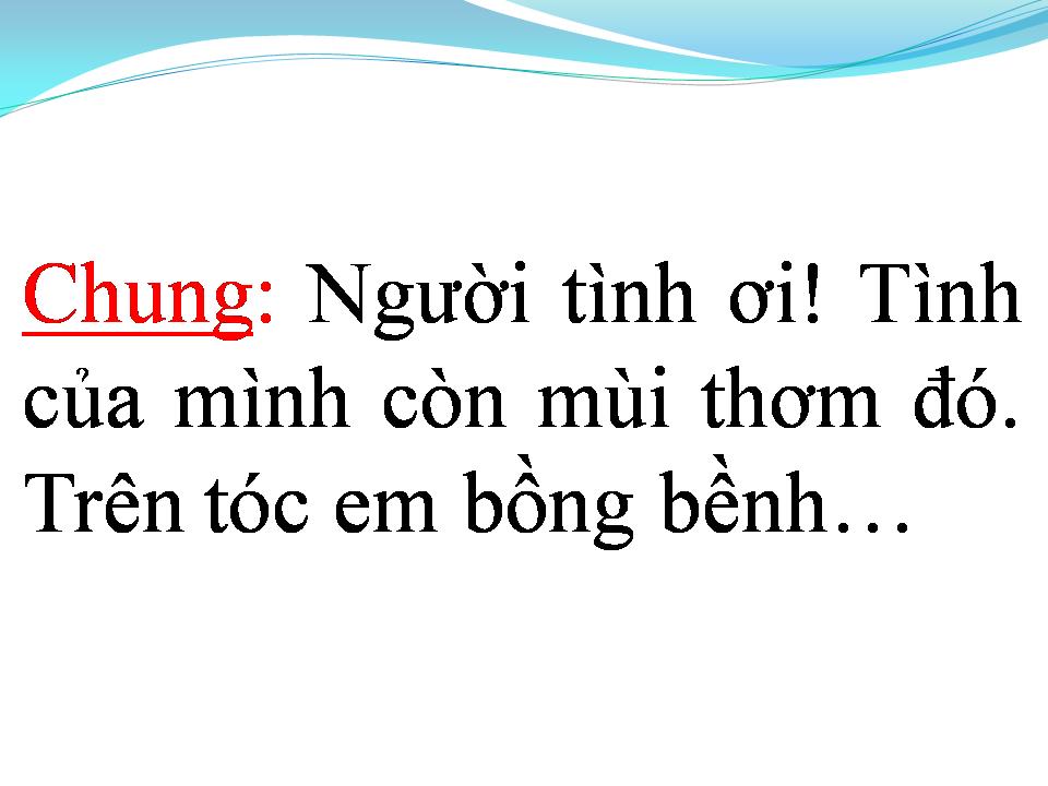 Lời bài hát TÌNH CA TRÊN LÚA