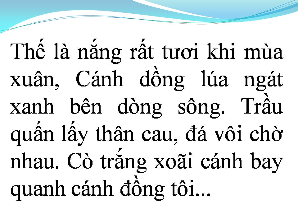 Lời bài hát GIẤC MƠ CÁNH CÒ