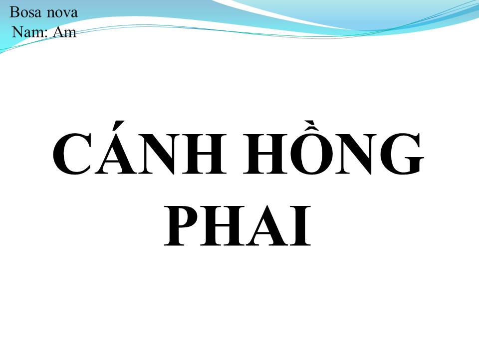 Lời bài hát CÁNH HỒNG PHAI