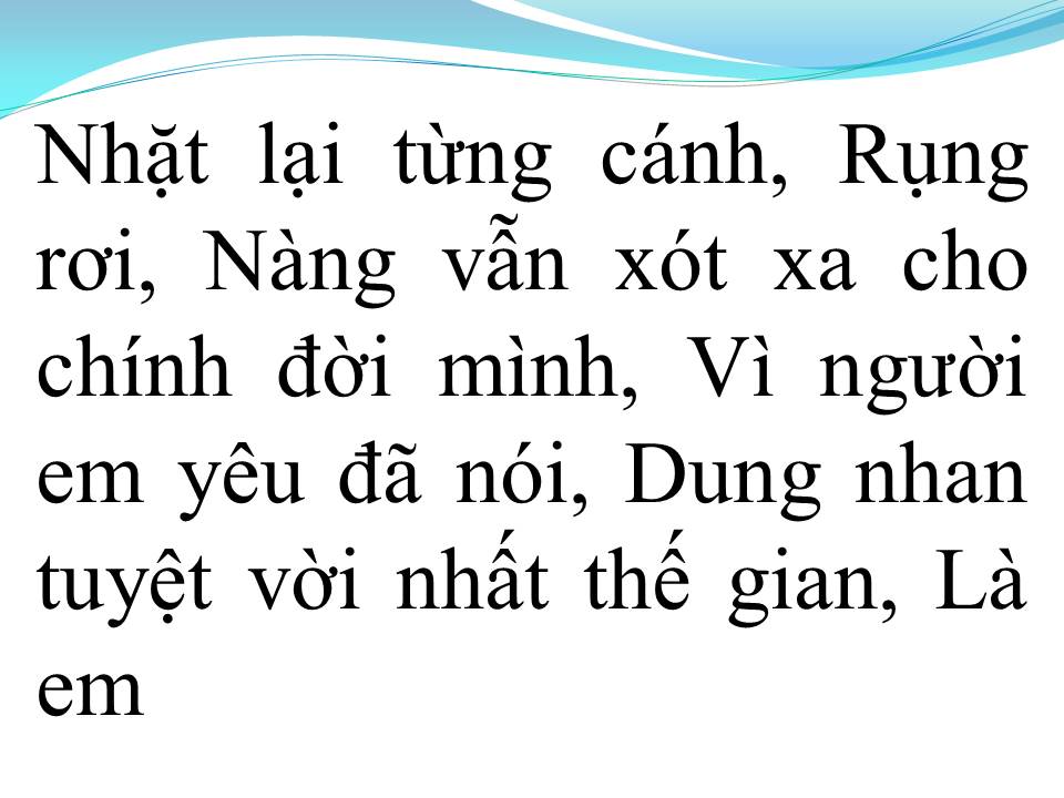 Lời bài hát CÁNH HỒNG PHAI