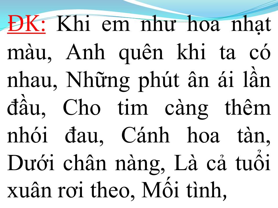 Lời bài hát CÁNH HỒNG PHAI