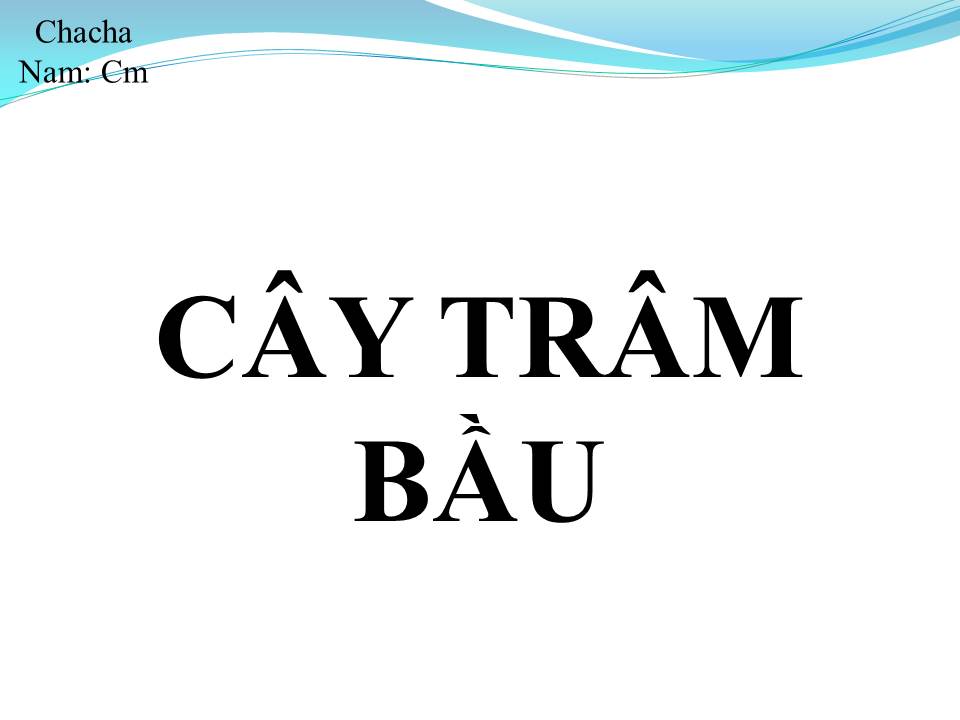 Lời bài hát CÂY TRÂM BẦU