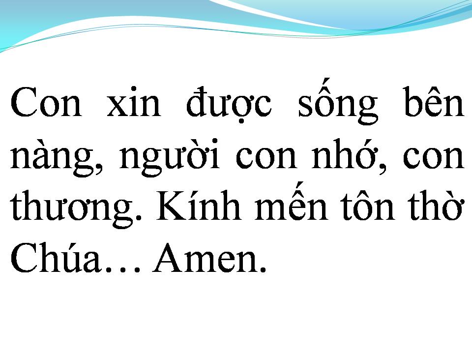 Lời bài hát TÌNH NGƯỜI NGOẠI ĐẠO