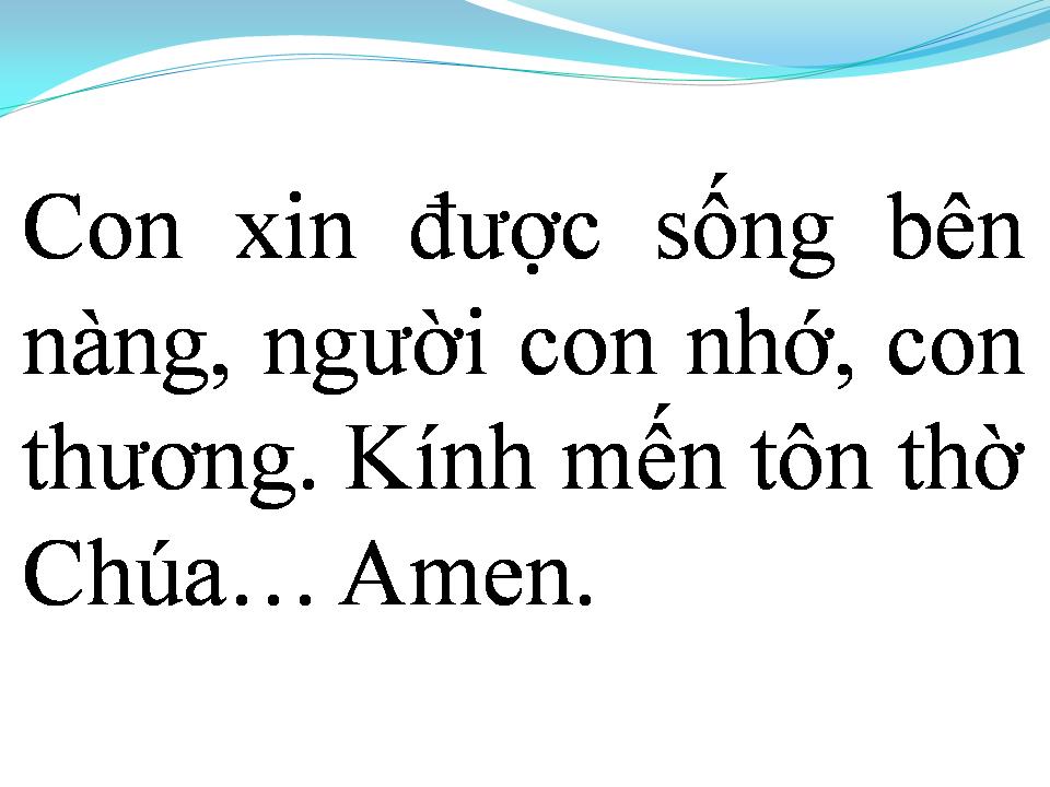 Lời bài hát TÌNH NGƯỜI NGOẠI ĐẠO