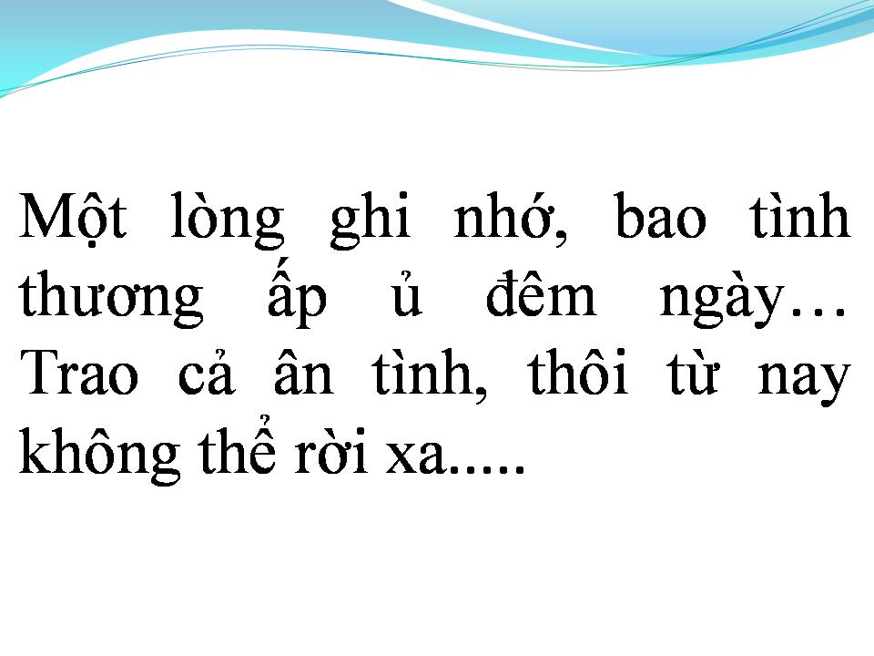Lời bài hát TÌNH NGƯỜI XA XỨ