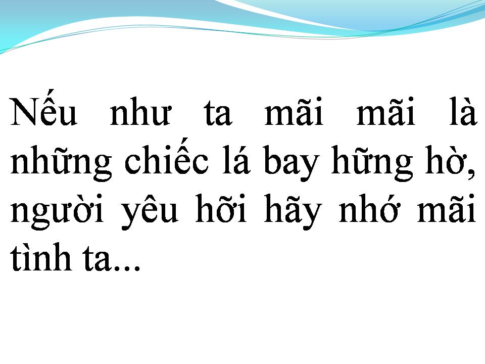Lời bài hát TÌNH NHƯ LÁ BAY XA