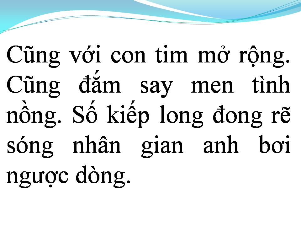Lời bài hát TÌNH TUYỆT VỌNG