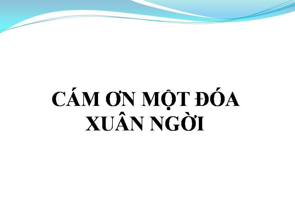 Lời bài hát CÁM ƠN MỘT ĐÓA XUÂN NGỜI