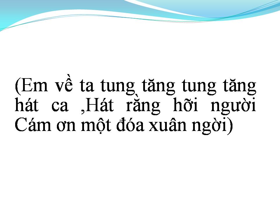 Lời bài hát CÁM ƠN MỘT ĐÓA XUÂN NGỜI