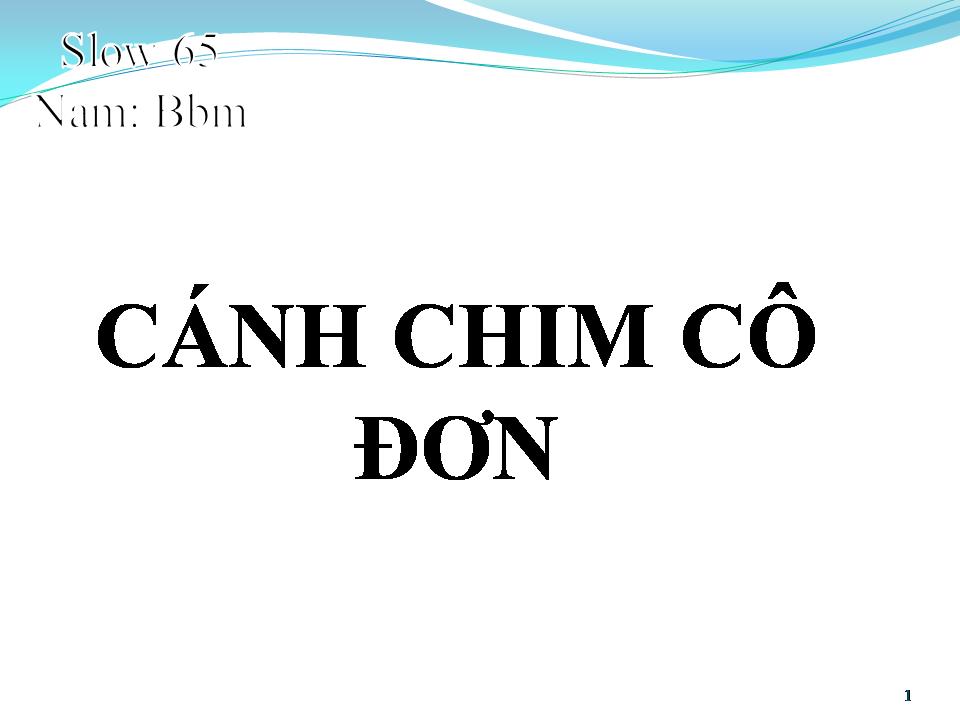Lời bài hát CÁNH CHIM CÔ ĐƠN