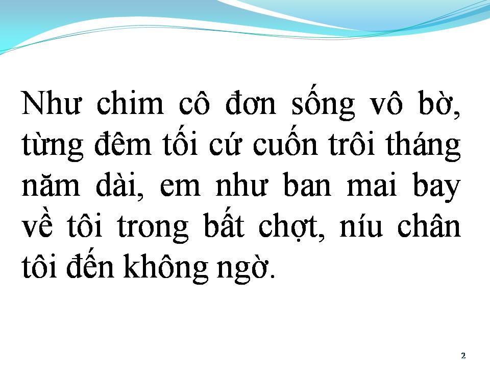 Lời bài hát CÁNH CHIM CÔ ĐƠN