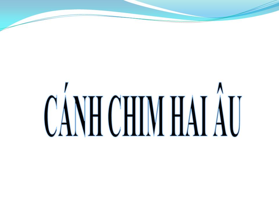 Lời bài hát CÁNH CHIM HẢI ÂU