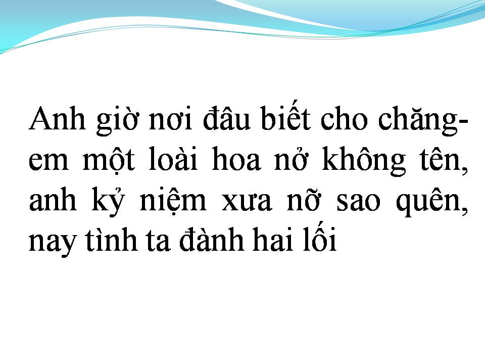 Lời bài hát CÁNH CHIM LẠC LOÀI