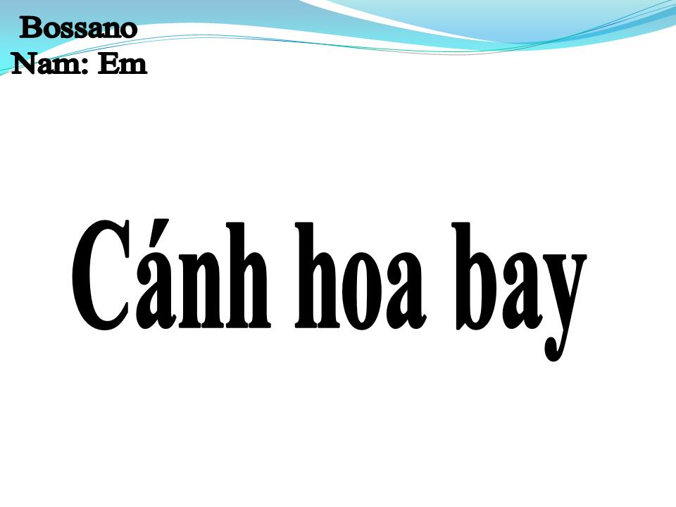 Lời bài hát CÁNH HOA BAY