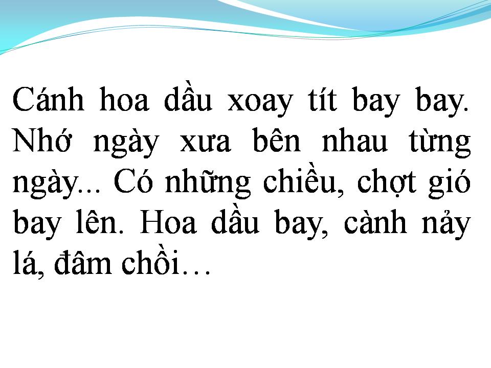 Lời bài hát CÁNH HOA BAY
