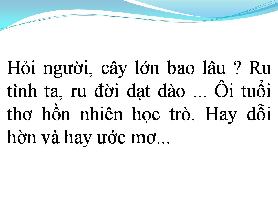Lời bài hát CÁNH HOA BAY