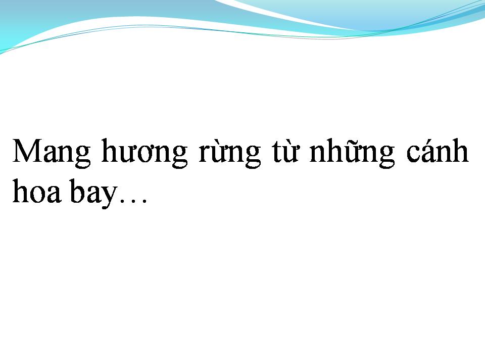 Lời bài hát CÁNH HOA BAY